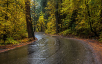 Какие опасности на дороге ждут осенью?